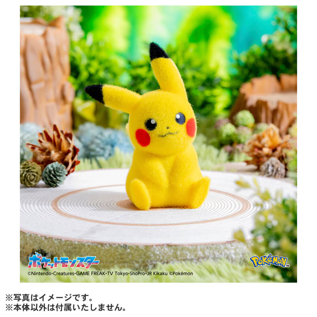 TAKARA TOMY/てのひらピカチュウ　ぽけふわ