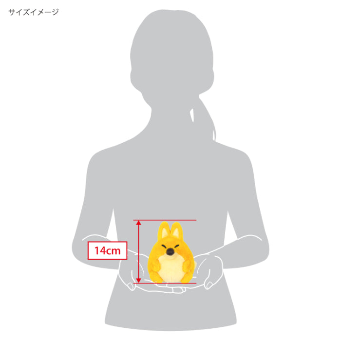 三英貿易/ほしのカービィ　ころろんフレンズ/KF12 ころろんフレンズ コン