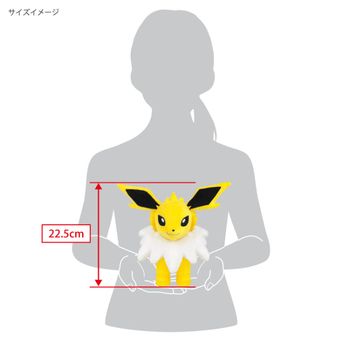 Sanei Boeki / Pokémon ALL STAR COLLECTION / PP244 Jolteon