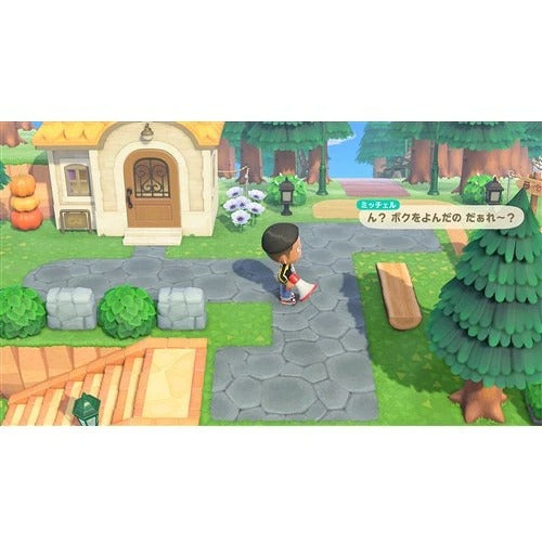 Nintendo/NS2S Animal Crossing: New Horizons Nintendo Switch 2 Edition