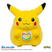 TAKARA TOMY/ポケットモンスター ポケモン30周年記念 おかえり! ピカチュウ 1/1