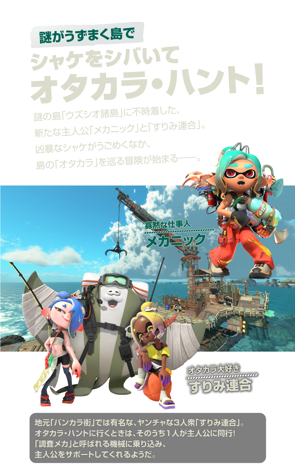 任天堂/NS2S スプラトゥーン レイダース