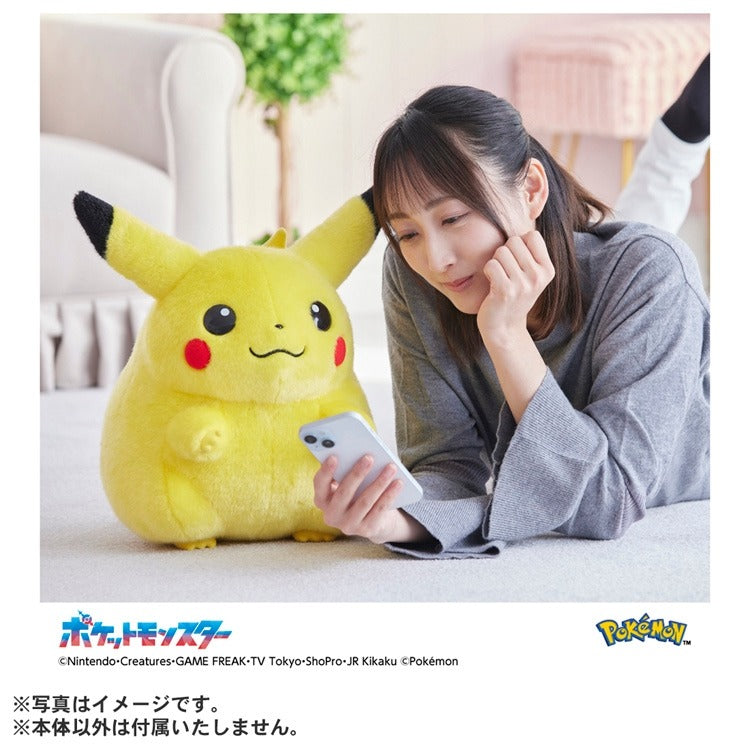TAKARA TOMY/ポケットモンスター ポケモン30周年記念 おかえり! ピカチュウ 1/1