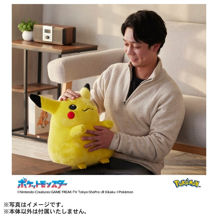 TAKARA TOMY/ポケットモンスター ポケモン30周年記念 おかえり! ピカチュウ 1/1
