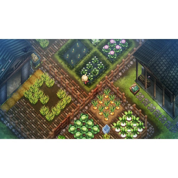 Nintendo/NS2S Homokurashi no Niwa